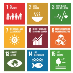 SDG 17